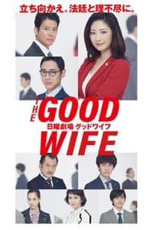The Good Wife tv show poster