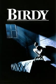 Birdy movie poster