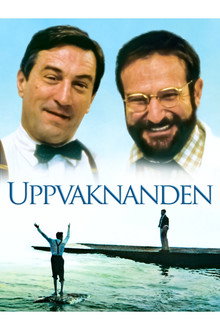 Uppvaknanden