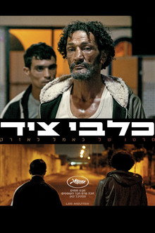 כלבי ציד