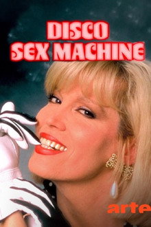 Disco Sex Machine : La naissance du porn chic