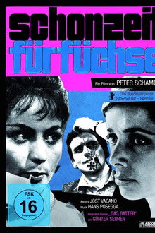 No Shooting Time for Foxes