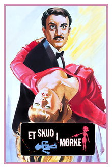 Et skud i mørke