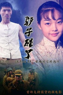 驴子醒了