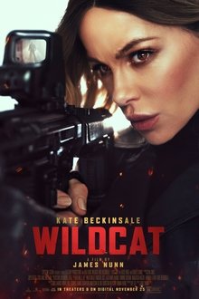 Wildcat