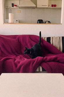 Retrato de un sillón