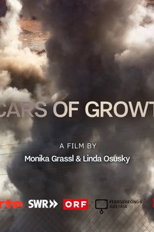 Scars of Growth