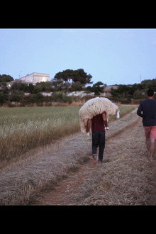 Pedra pàtria