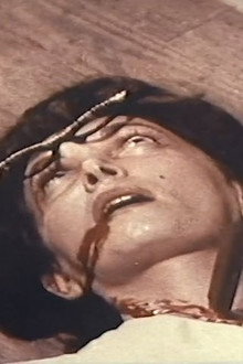 Honeymoon of Horror