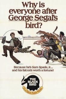 Poster do filme The Black Bird