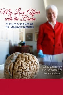 Poster do filme My Love Affair with the Brain