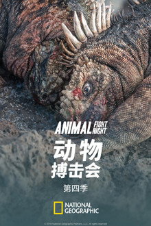 第 4 季