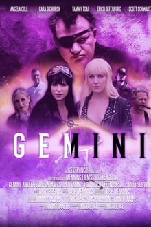 Poster do filme Gemini