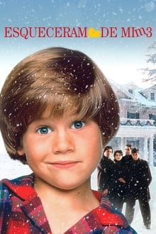 Poster do filme Home Alone 3