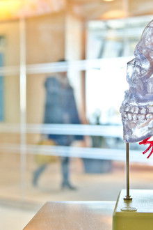 Secrets-of-the-Brain