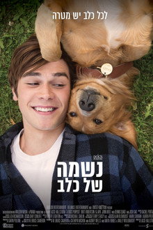 נשמה של כלב