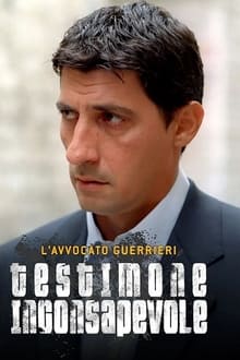 Poster da série L'AVVOCATO GUERRIERI