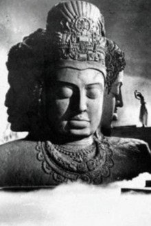 आवारा