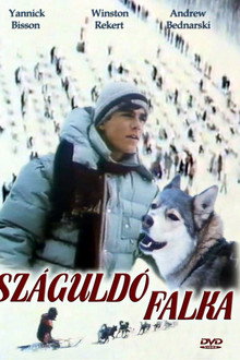 Száguldó falka