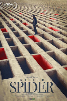 Killer Spider