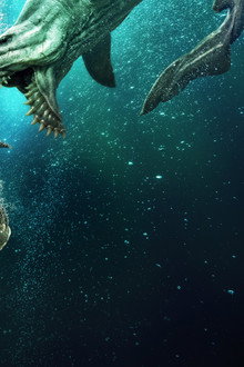 Jurassic Sharks