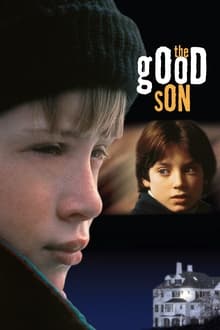 The Good Son movie poster