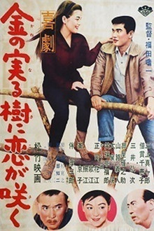 喜劇 金の実る樹に恋が咲く