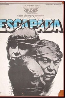 Poster do filme Escapada