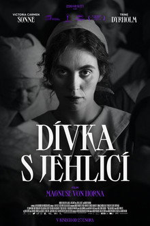 Dívka s jehlicí