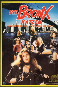 Die Bronx-Katzen