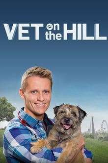 Poster da série Vet On The Hill