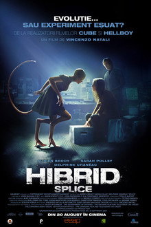Hibrid