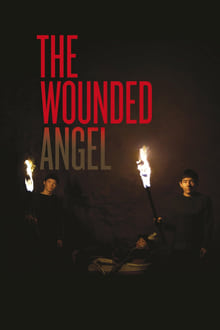 The Wounded Angel movie poster