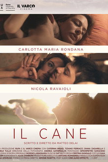 Il cane