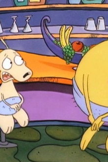 Rocko's Modern Life - Season 1
