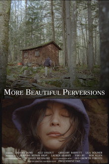More Beautiful Perversions