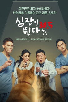 심장이 뛴다 38.5
