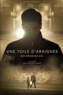 Une toile d’araignée