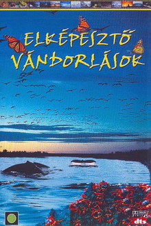 IMAX - Elképesztő vándorlások