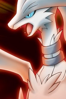 Pokémon-14-Schwarz---Victini-und-Reshiram