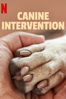 Poster da série Intervenção Canina