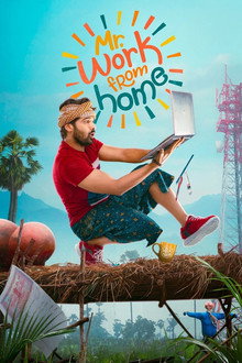Mr. Work from Home