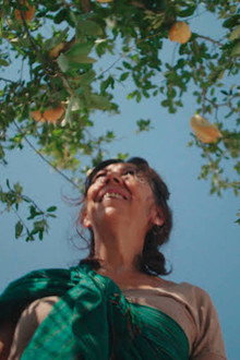 El Árbol