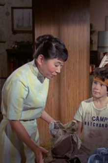 The Courtship of Eddie's Father - Season 3