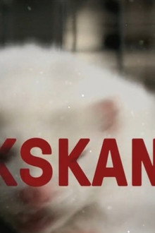 Minkskandalen - afgørelsens time