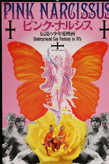 Pink Narcissus