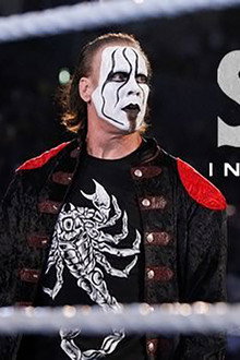 Sting: Into the Light