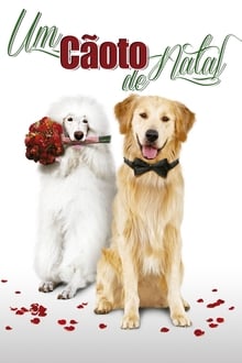 Poster do filme Um Cãoto de Natal