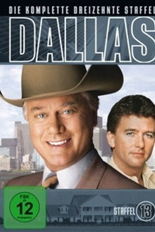 Staffel 13