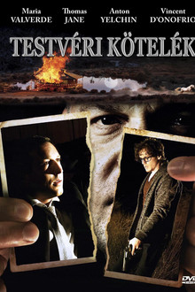 Testvéri kötelék